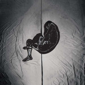 白石茉莉奈的乳液狂飙的微博
